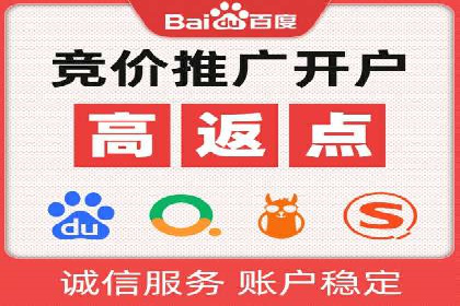 谷歌竞价广告的投放策略与成功案例分析